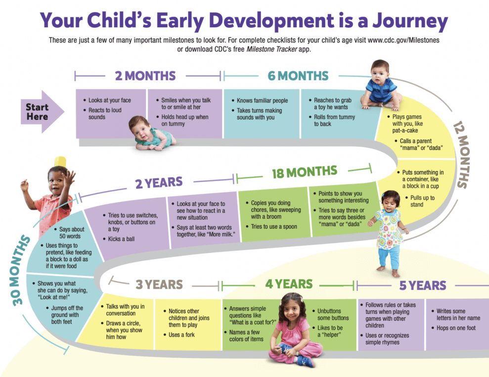 Understanding Developmental Milestones