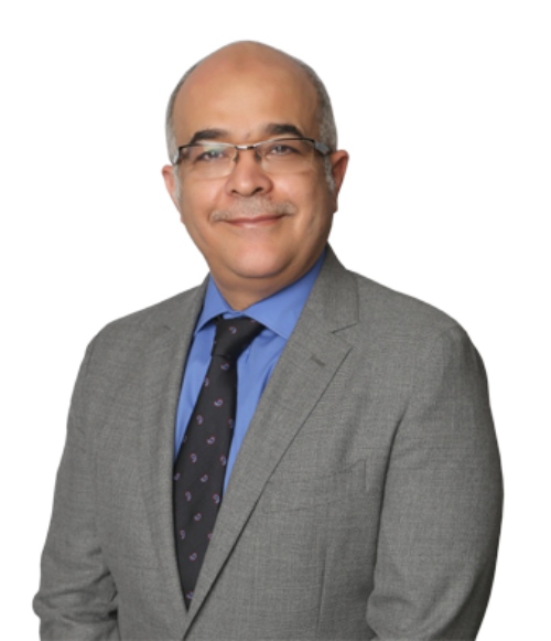 Dr. Mohamad I M El Naggar