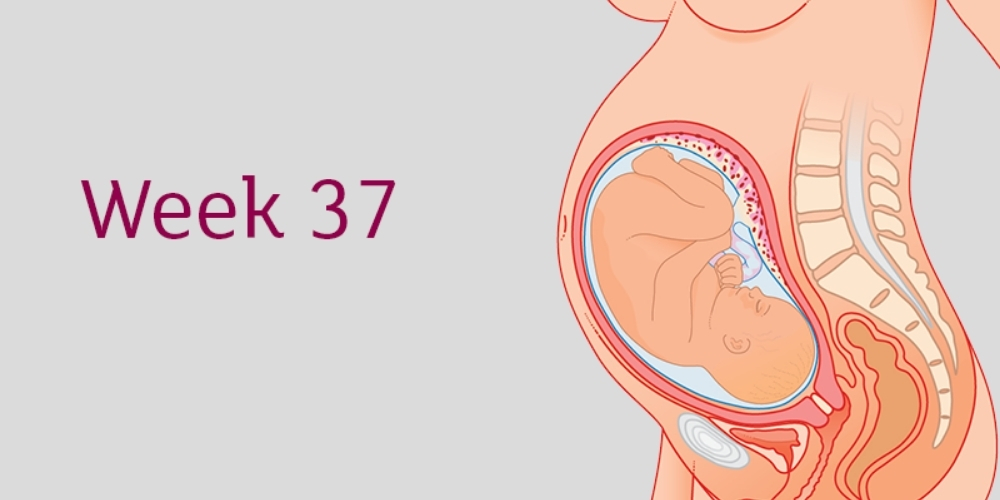 37 Week Pregnancy Symptoms
