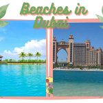 Beaches in Dubai for Tourists and Locals